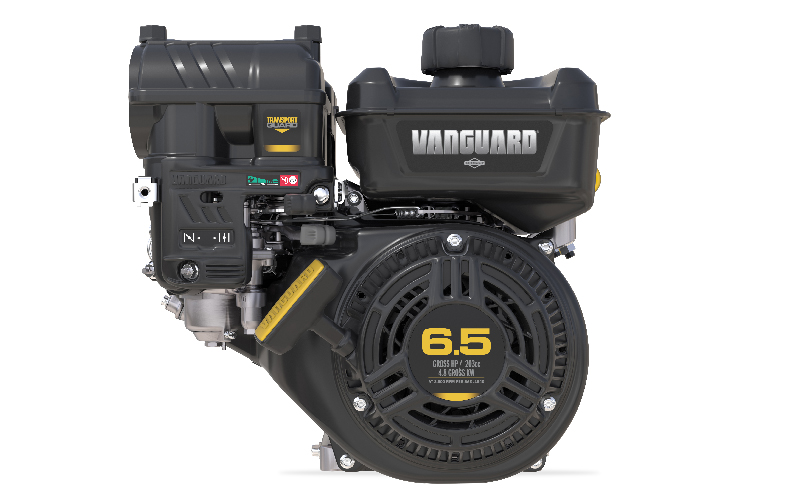 Vanguard 200 Single-Cylinder engine