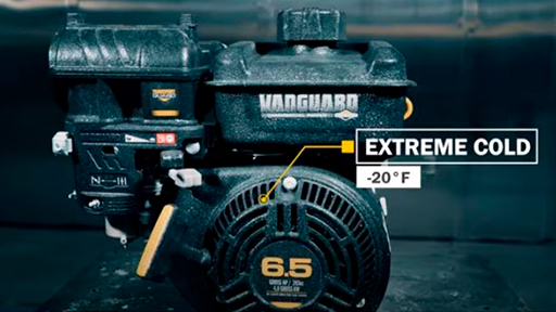 Vanguard 200 Engine: Cold Start Test
